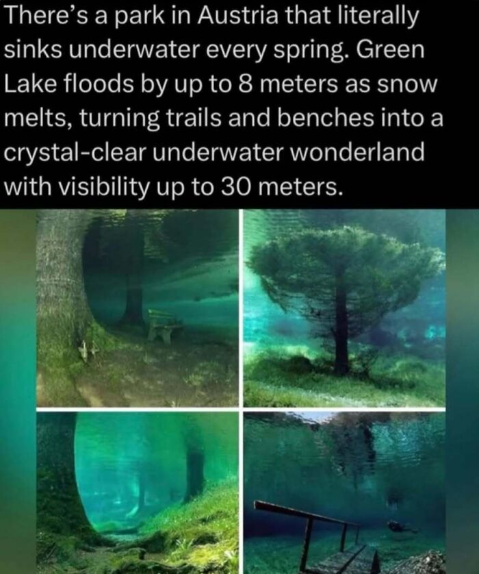 Underwater park in Austria floods in spring, creating a crystal-clear underwater wonderland with trails and trees visible.