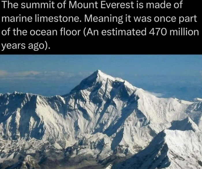 Snow-covered Mount Everest peak with text explaining its summit is made of ancient marine limestone, part of the wild.