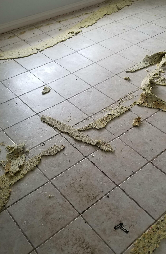 Worn and damaged tile floor in a home showing signs of poor maintenance and buyer regret moments after purchase
