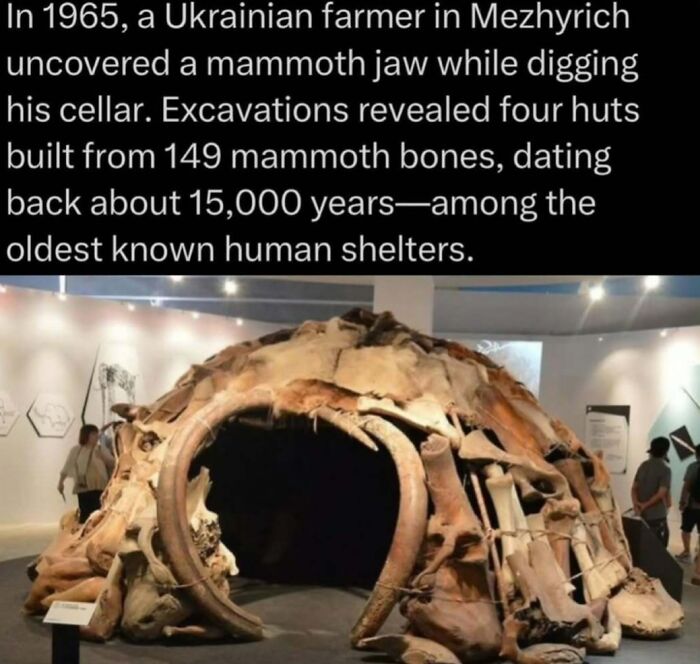Mammoth bone hut dating back 15,000 years displayed in a museum as part of explaining the wild facts about ancient shelters.