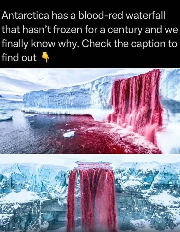 Blood-red waterfall in Antarctica surrounded by ice, illustrating an intriguing natural phenomenon from explaining the wild.