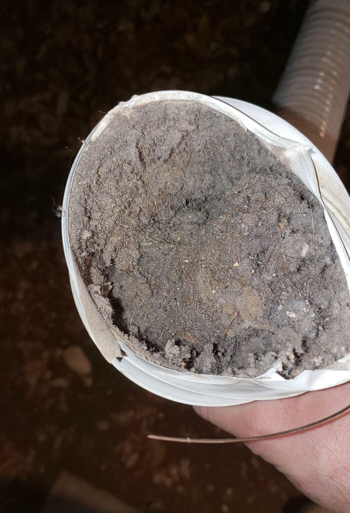 Clogged home dryer vent filled with dust and debris, illustrating common issues new homeowners often regret quickly.