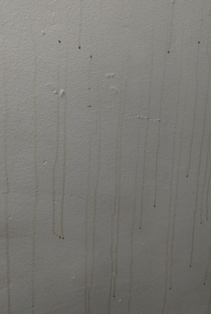 Close-up of a wall in a home with water stains and damage, illustrating common issues homeowners regret.