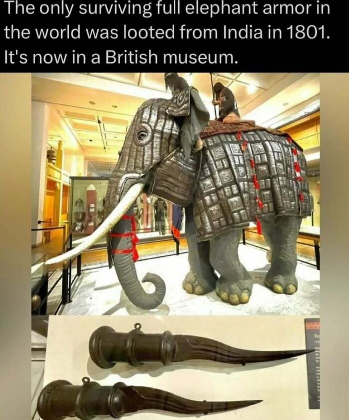Elephant armor displayed in British museum, showcasing rare historical artifact from India, teaching facts about the wild world.
