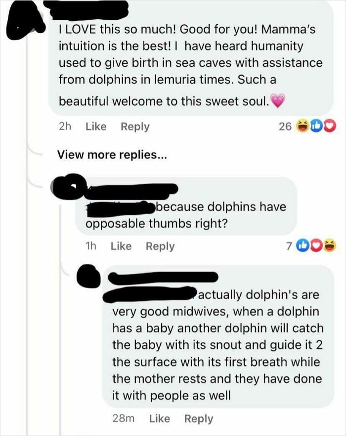 A screenshot of a wild mom group post debating dolphins as midwives helping with childbirth and responding with humor.