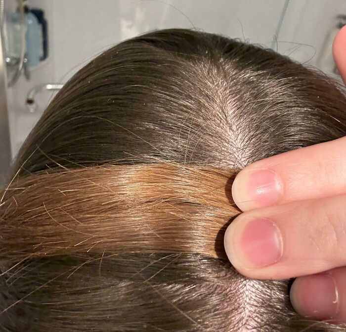 Roots vs. Ends Of My Uncolored Hair