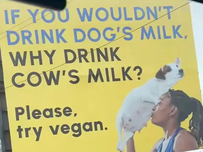 Woman holding a dog in front of a yellow sign questioning drinking cow's milk in this weird and unexplainable image.