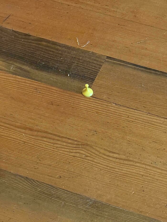 Small yellow object on wooden floor creating a weird and unexplainable image that may linger in your brain longer