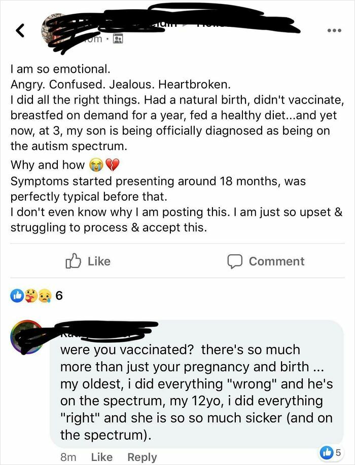 Social media post from a mom group discussing autism diagnosis, vaccination, and parenting struggles in an emotional exchange.