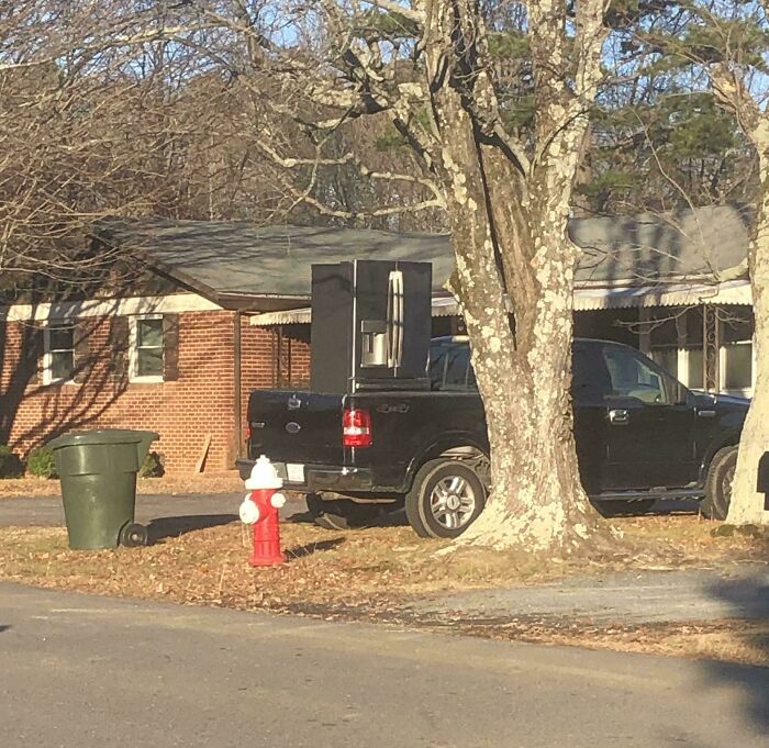 Black pickup truck parked with an upright refrigerator in the bed, near a red fire hydrant and a large tree in a residential area.