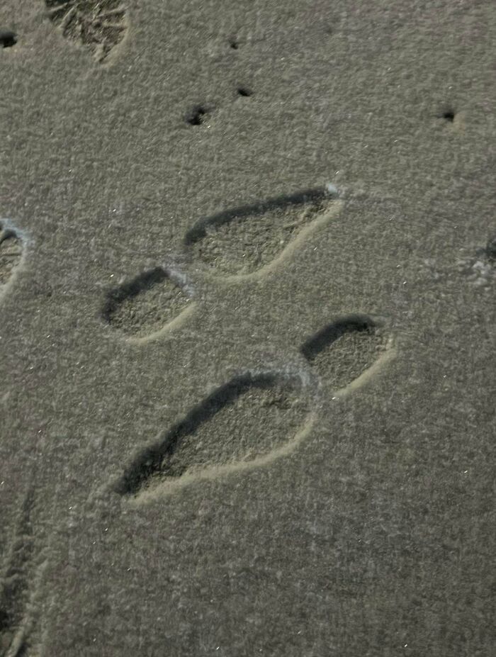 Unexplainable images showing mysterious leaf-like shapes imprinted on a rough, sandy surface in dim light.