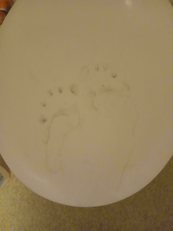 Faint dirty footprints on a white toilet seat, creating a weird and unexplainable image that may linger in your brain.