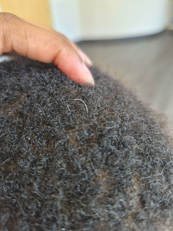 Close-up of a hand holding a clump of tightly curled hair, a weird and unexplainable image that intrigues the brain.