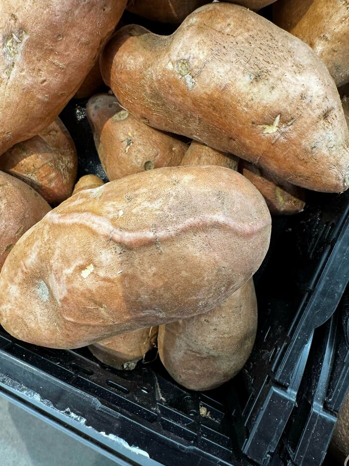 Close-up of weird and unexplainable sweet potatoes with unusual shapes piled in a black crate at a market.
