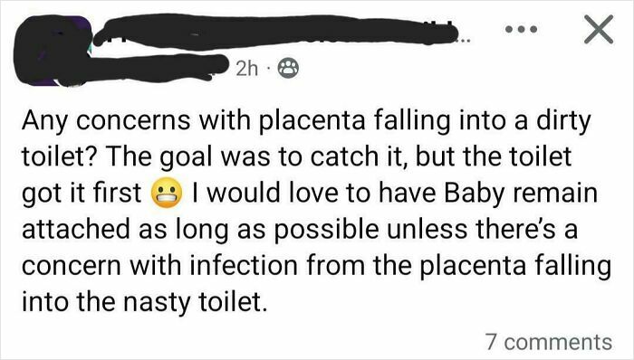Screenshot of a mom group post discussing concerns about placenta falling into a dirty toilet and infection risks.