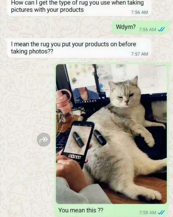 Chat conversation showing a person photographing lipstick on a cat instead of a rug for product pictures, favorite internet moments.