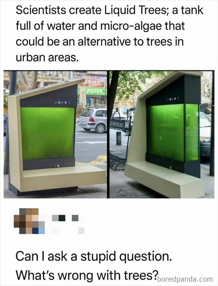 Liquid trees with micro-algae tanks as innovative urban alternatives, featured among favorite internet moments.