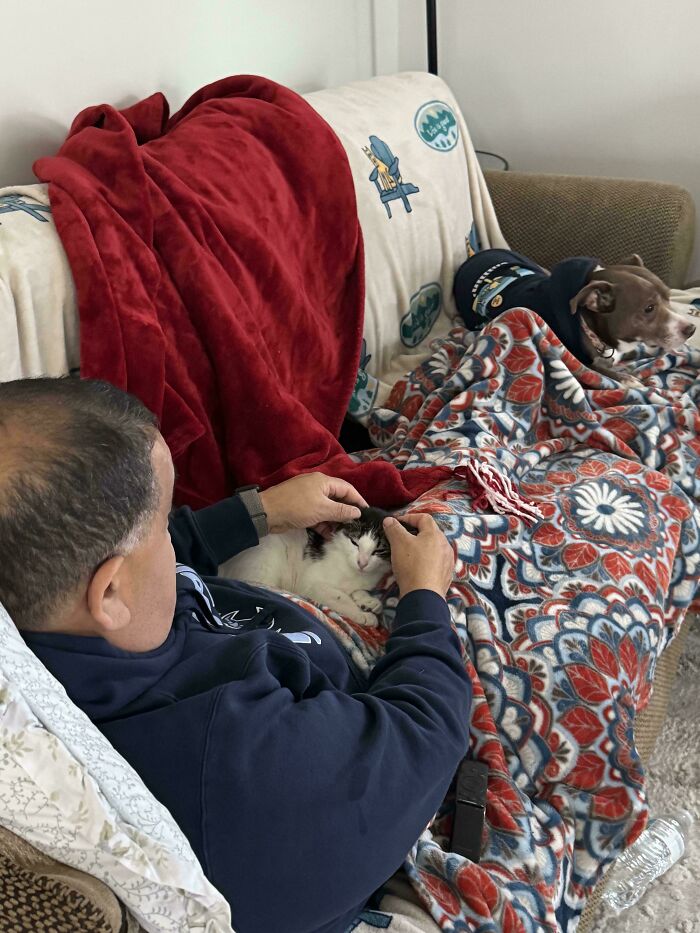 Dad relaxing on couch petting cat with dog nearby, cozy blankets around in a heartwarming pets and dads moment.
