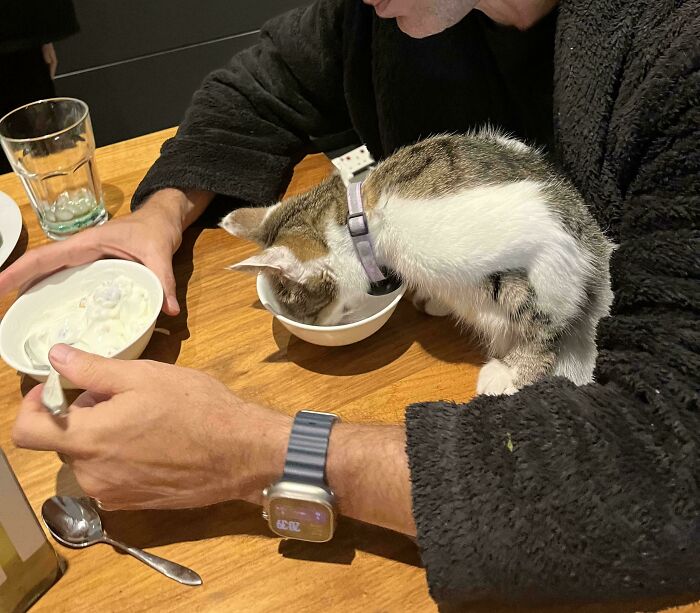 Man wearing smartwatch sitting at a table with a cat drinking from a bowl, showing dads and pets bonding moments.