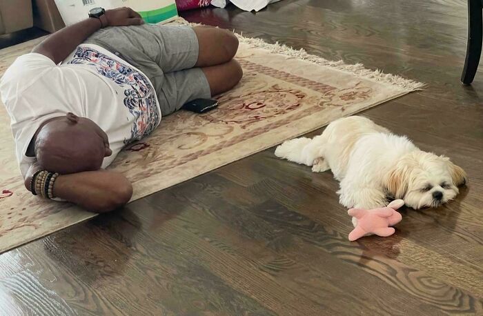 Dad lying on a rug next to a small dog with a toy, showing a heartwarming bond between dads and pets they love.