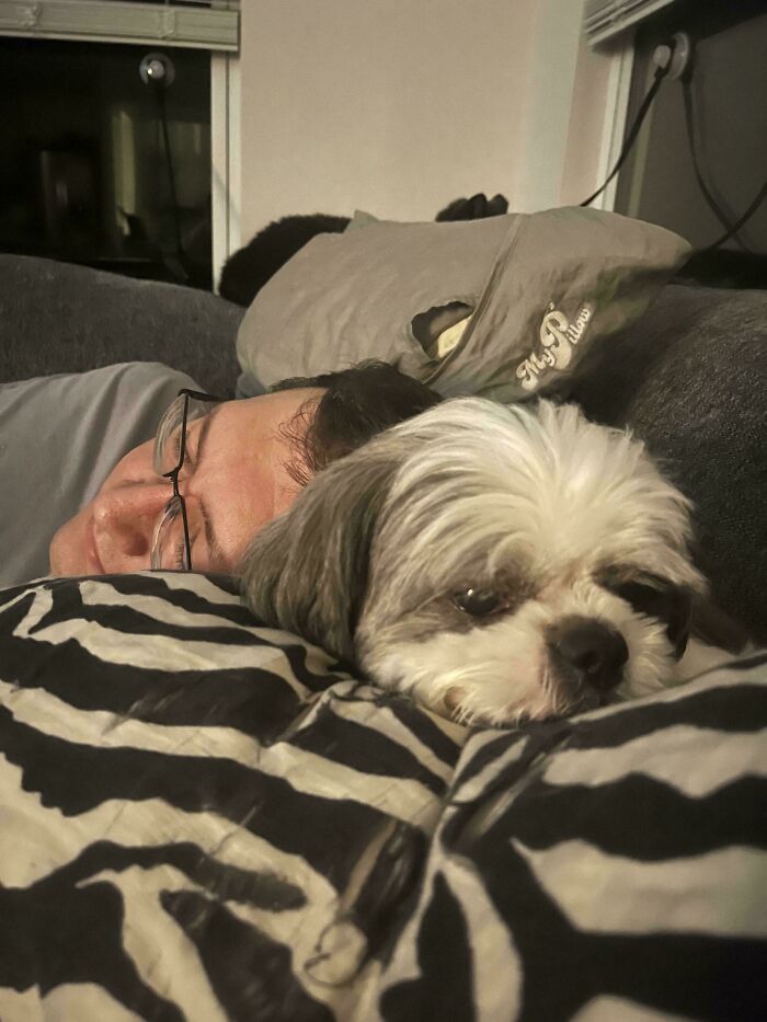 Dad resting on a couch with his small dog, showing the bond between dads and the pets they now love.