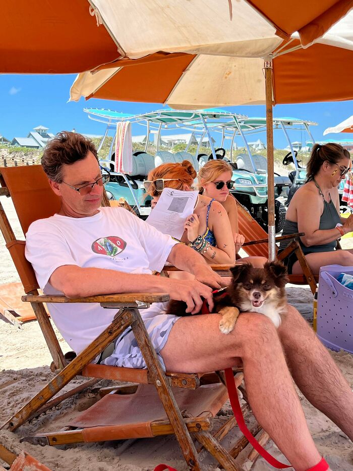 Man relaxing on beach chair with dog on lap under umbrella, showcasing dads and pets bonding moments.