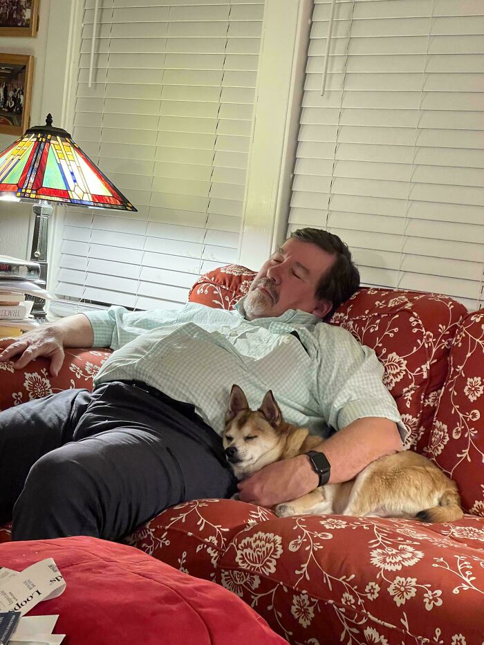 Man and his pet dog napping together on a patterned couch, showcasing dads and pets bonding moments.