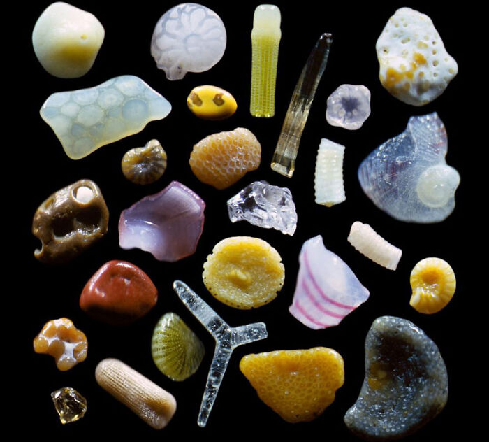 Sand Under A Microscope, Magnified Up To 300x