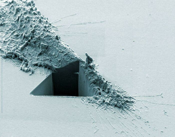 A Cancer Cell Slashed Open By An Ion Beam