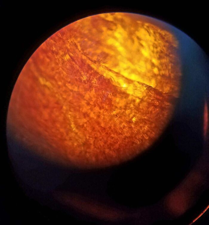 Took A Photo Of A Red Pepper Flake Through A Microscope And It Looked Like A Planet