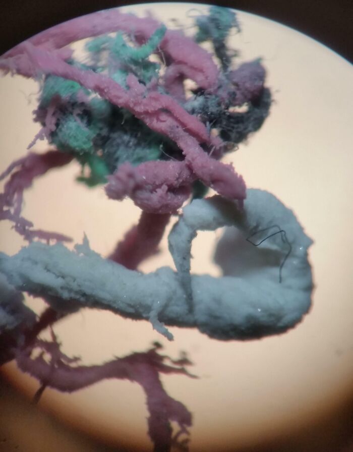 Got Bored During Class And Put Small Pieces Of Used Eraser Under A Microscope After I Finished My Lab