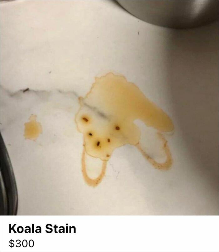 Unhinged Facebook Marketplace listing showing a stain resembling a koala offered for $300.