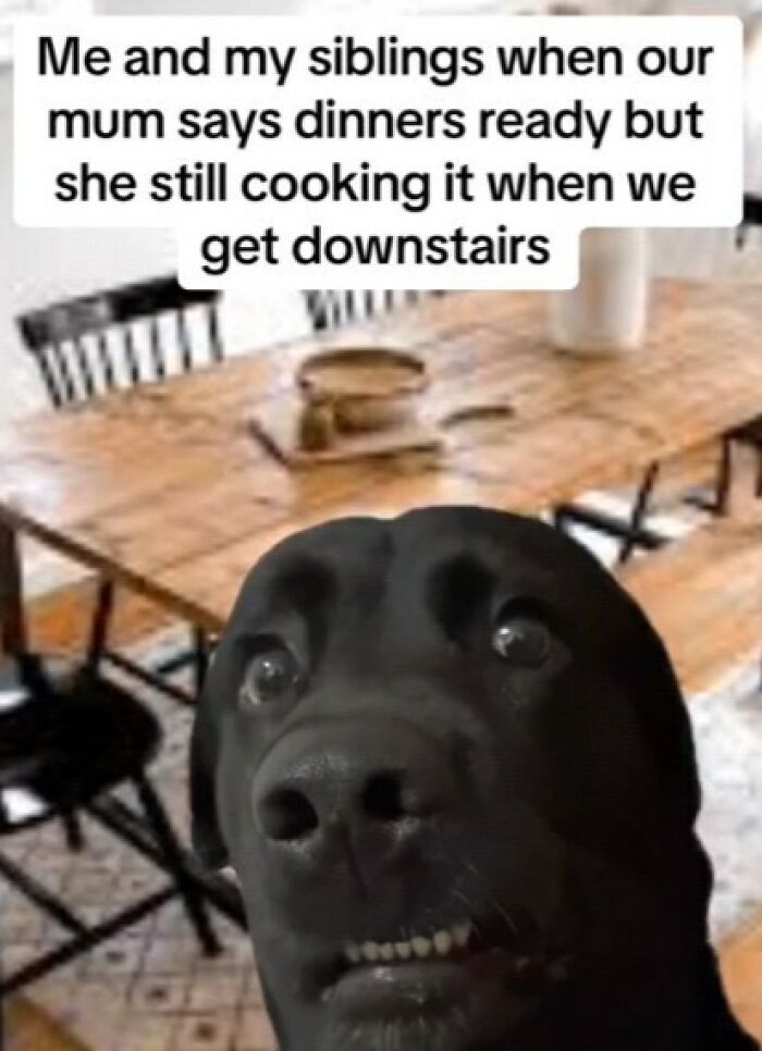 Black dog with a funny expression in a kitchen meme about waiting for dinner, related to entertaining memes to function properly.