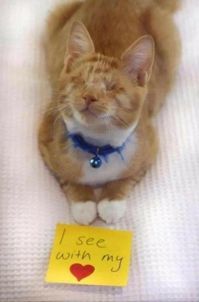 Good Morning. Have A Nice Day