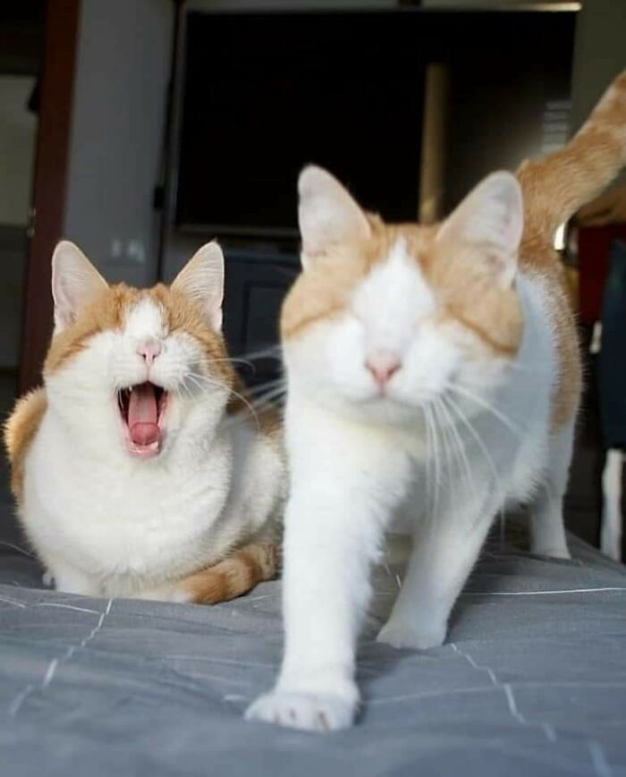 They Are Blind But They Have Lot Of Love