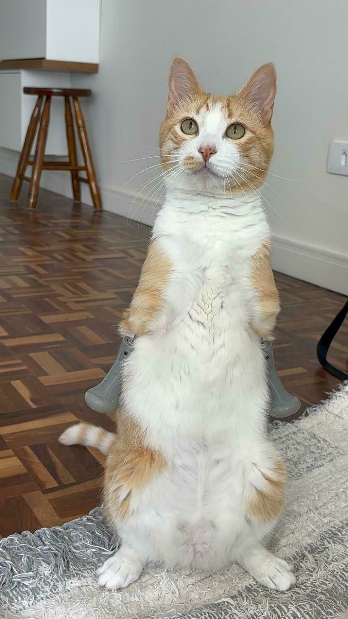 My Little Two Legged Athlete 🧡