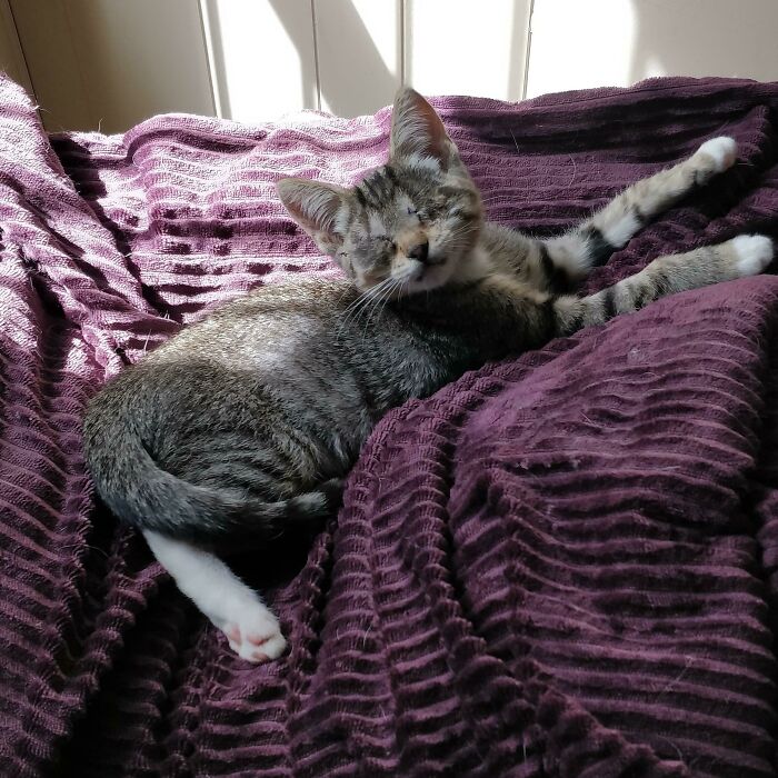 Just A Girl, Living Her Best Life