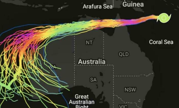 A map of Australia with colorful lines showing cyclone tracks, interesting for an Aussie.
