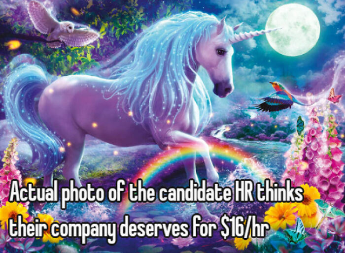 A magical unicorn representing the unrealistic expectations HR has for new job candidates, part of recruiting hell.