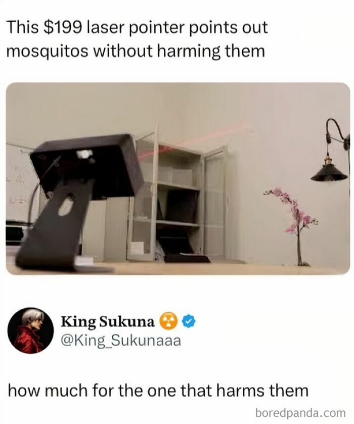 Laser pointer technology highlights mosquitoes without harm in one of the internet's most favorite moments.