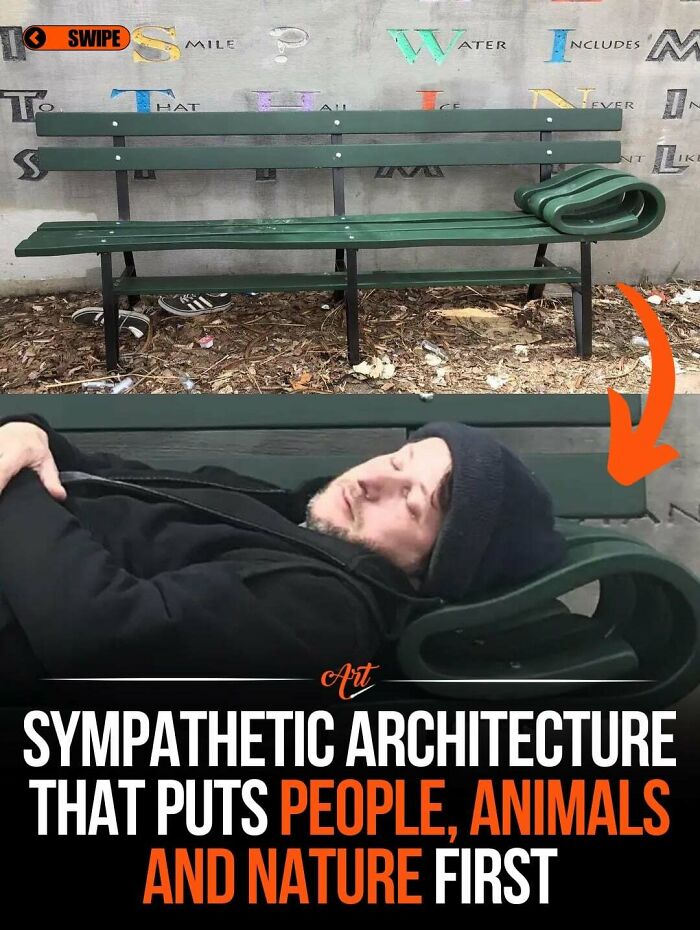 Amazing photos of sympathetic architecture: a park bench designed for comfort, brightening the day with thoughtful design.