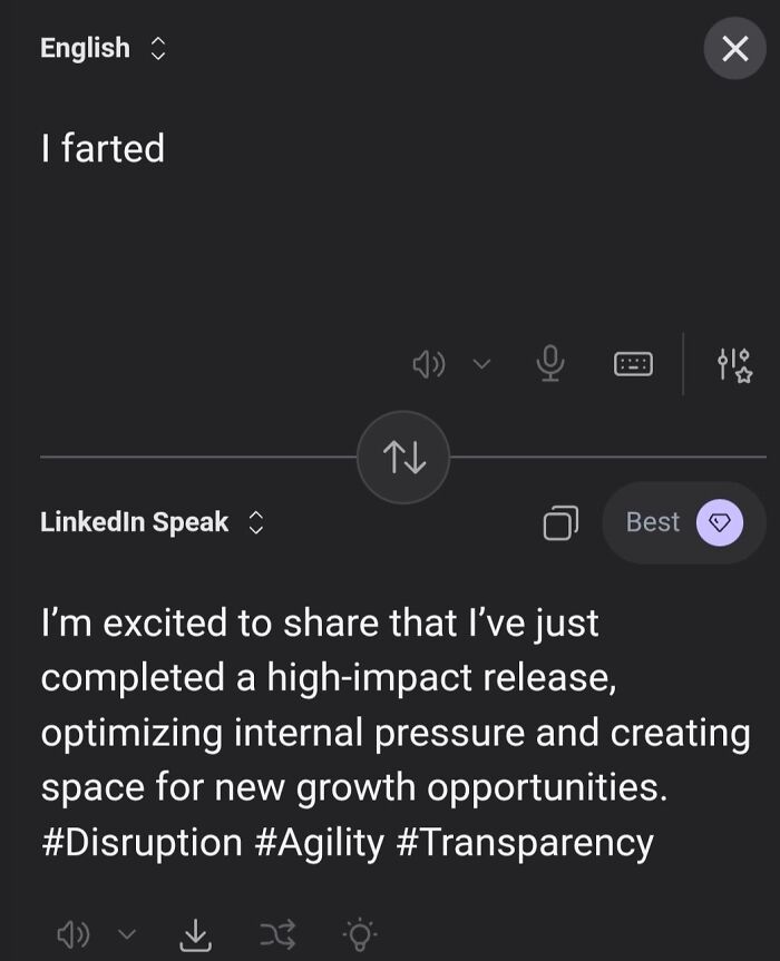 Google-Translator-Linkedin-Funny
