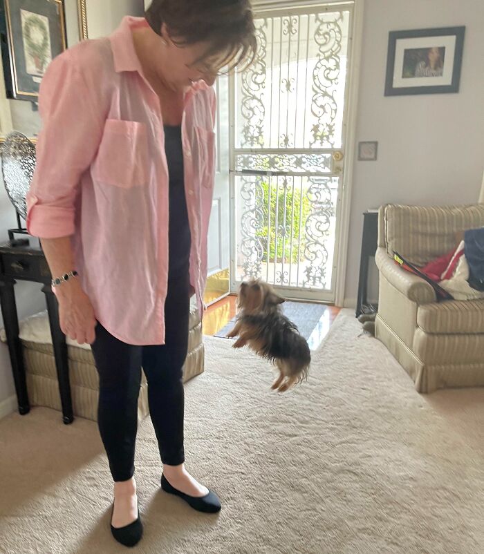 Woman in pink shirt looking at a small dog appearing to float in mid-air inside a living room puzzling the brain.
