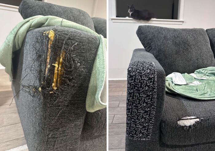 The Criminal And The Cover-Up