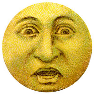 jodilewislipsitz avatar