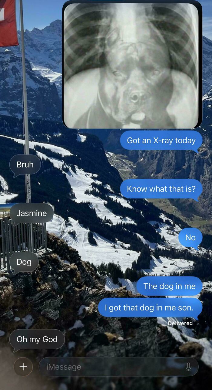 Funny and goofy text message exchange with an X-ray of a dog, encapsulating a great dad moment.