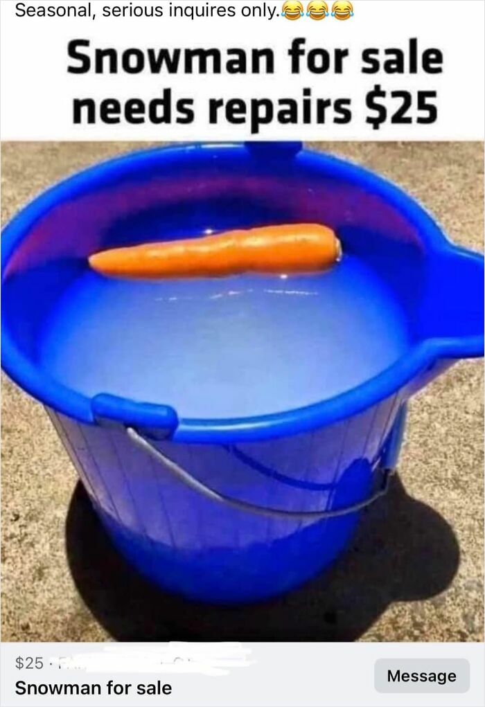 Blue bucket filled with ice water and a carrot, humorously listed in unhinged Facebook Marketplace pics needing double takes.