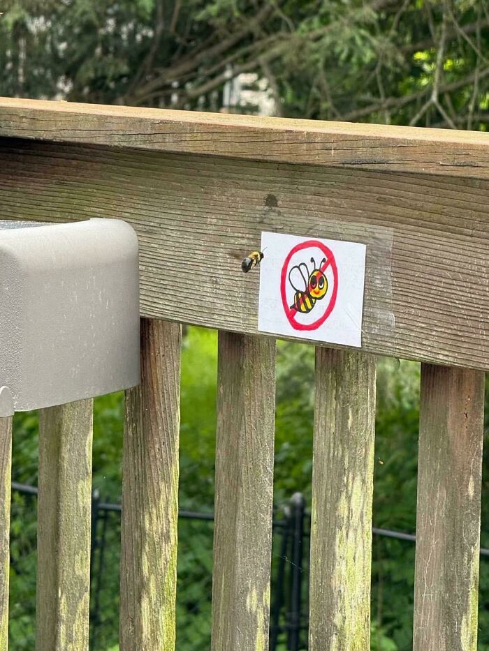Bee flying near a no bee sign on wooden fence, symbolizing ungovernable actions and rebellious nature of anarchists.