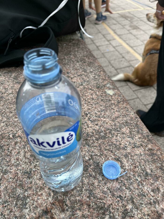 Partially filled water bottle with cap off on a stone bench near people and a dog, showcasing ungovernable spirit.