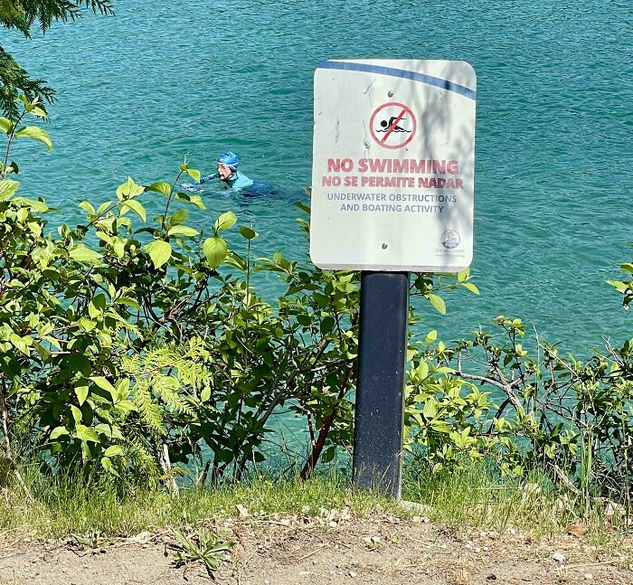 Person swimming near a no swimming sign, showing first-world anarchists who aren't afraid to challenge rules.